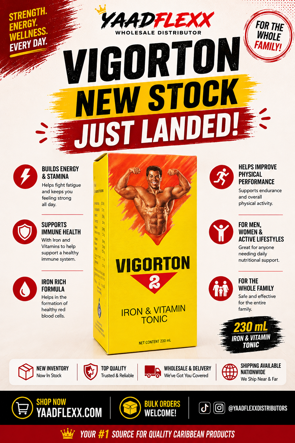 Vigorton Iron & Vitamin Tonic