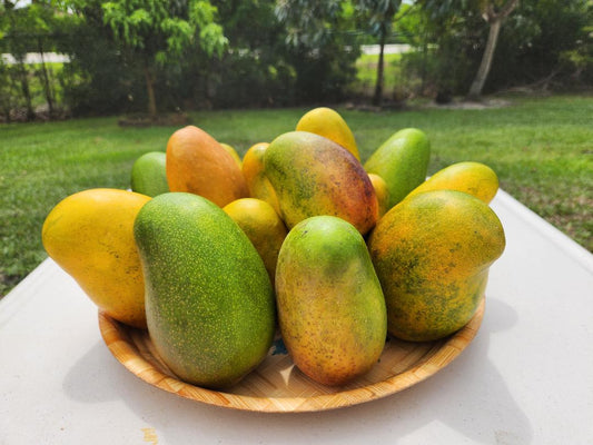 East Indian Mango Box